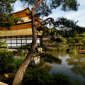 Kinkaku-ji  Temple in Kyoto