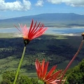  Bwindi Impenetrable National Park, Uganda