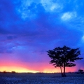 Etosha Natonal Park, Namibia