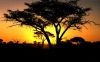 National park of Zimbabwe