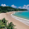 Image The Patong Beach - The Best Places to Visit in Phuket, Thailand