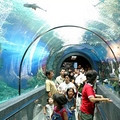 Image  Phuket Aquarium - The Best Places to Visit in Phuket, Thailand