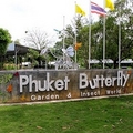 Image Butterfly Farm - The Best Places to Visit in Phuket, Thailand