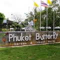 Butterfly Farm