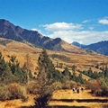 Image Bhutan