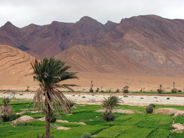 Morocco - Morocco landscape