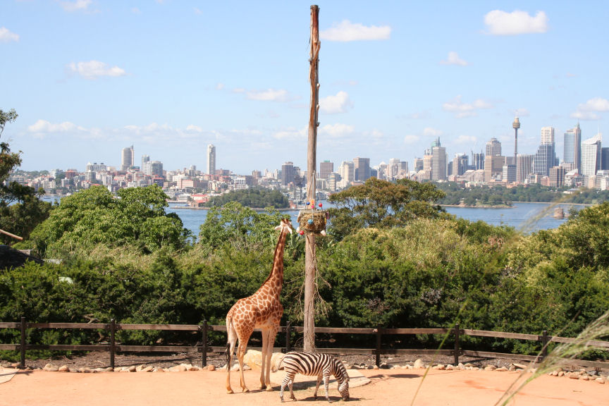 Australia - Taronga Zoo