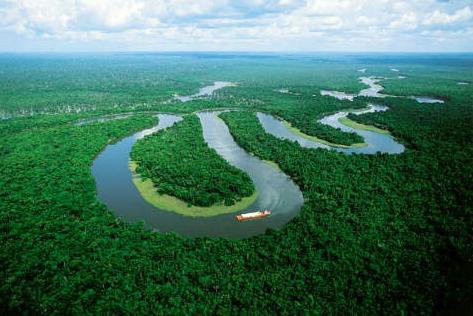 Brazil - Amazon