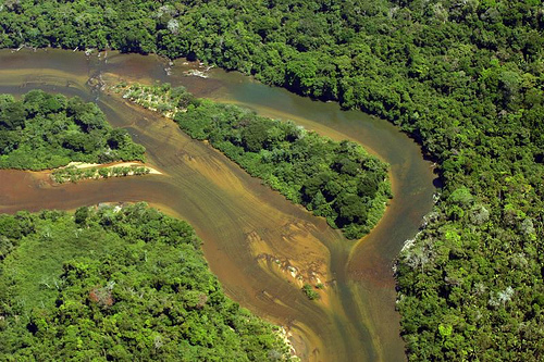 Amazon - Aerial view