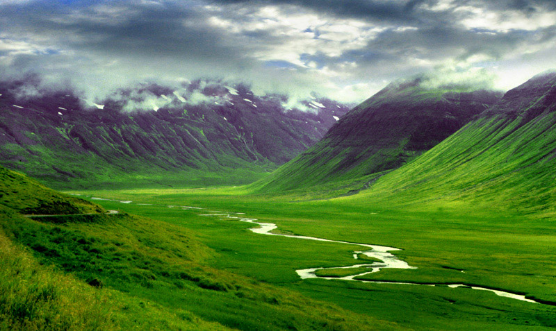 Iceland - Verdant setting