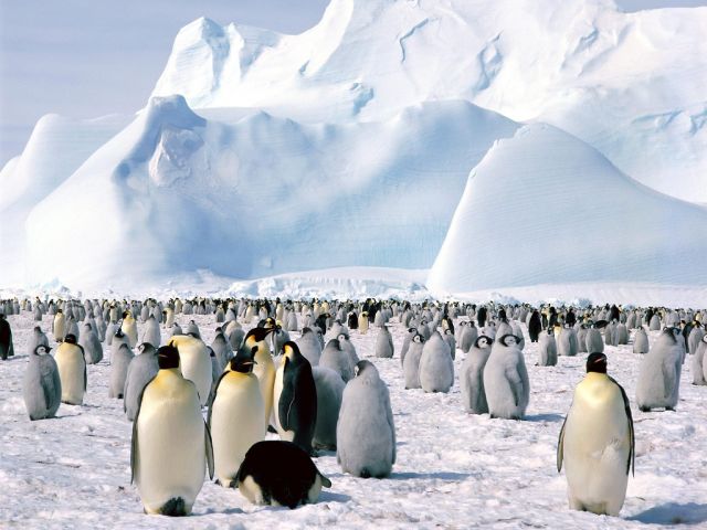 Antarctica - Antarctica view