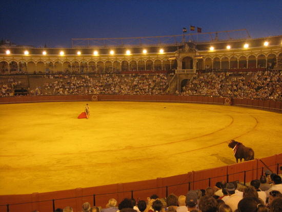 Plaza de Toros - Corida
