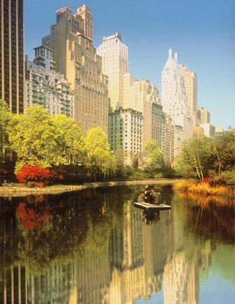 Ritz Carlton New York Central Park - Central Park panorama