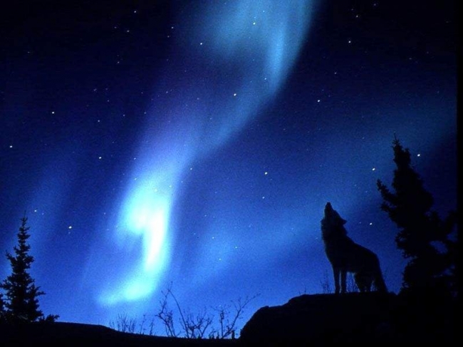Aurora Borealis - Spectacular phenomenon
