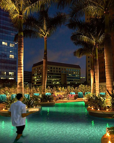 Four Seasons Hotel Miami - Palm Grove Pool