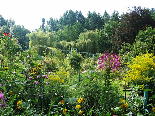 Claude Monet Gardens in Giverny - Exuberant vegetation