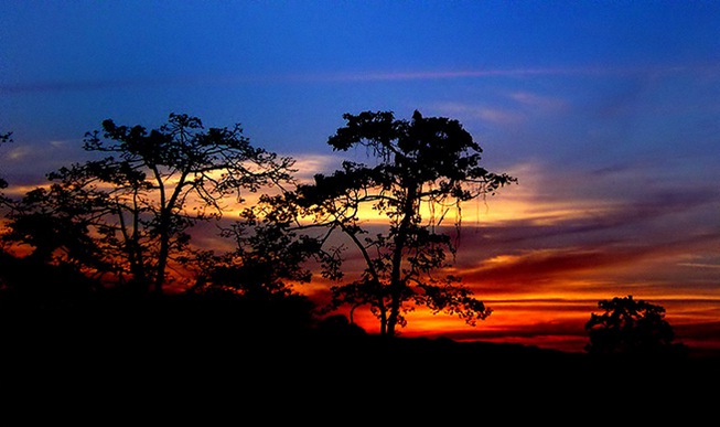 Kaziranga National Park in Assam - Beautiful sunset on Kaziranga National Park