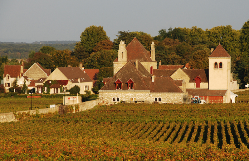 Vineyard areas in France - St. Georges vineyards