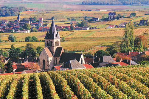 France - Wine region