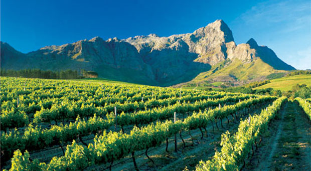 South Africa - Winelands