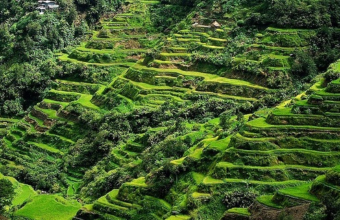Banaue Rice Terraces in Philippines - General view