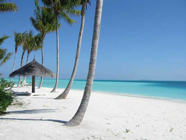 The Maldives - Maldives beach