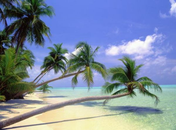 The Maldives - Splendid beaches