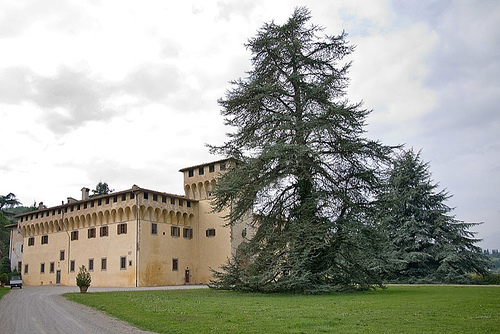 Cafaggiolo castello - General view