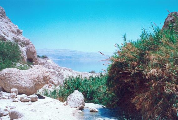 Ein Gedi in Israel - Panoramic setting