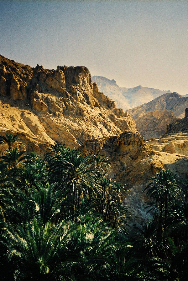 Chebika Oasis in Tunisia - Atlas Mountains