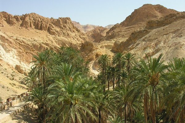 Chebika Oasis in Tunisia - Beautiful landscape