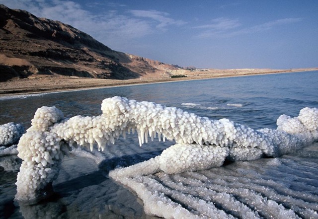 Dead Sea  - Dead Sea shore
