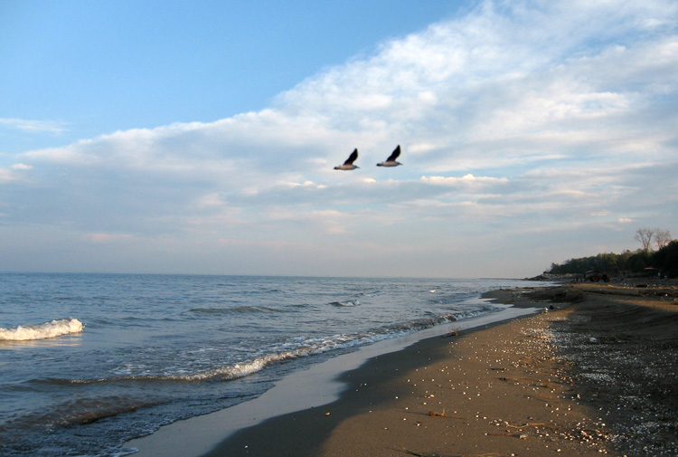 Caspian Sea in Russia - Shoreline
