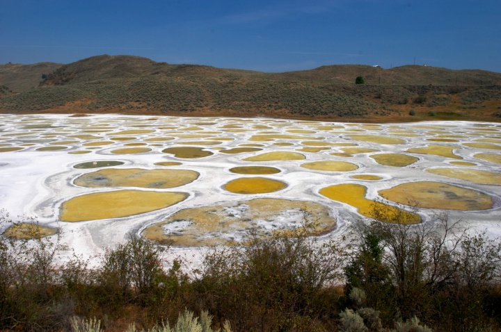 Spotted Lake in Canada - Lovely view