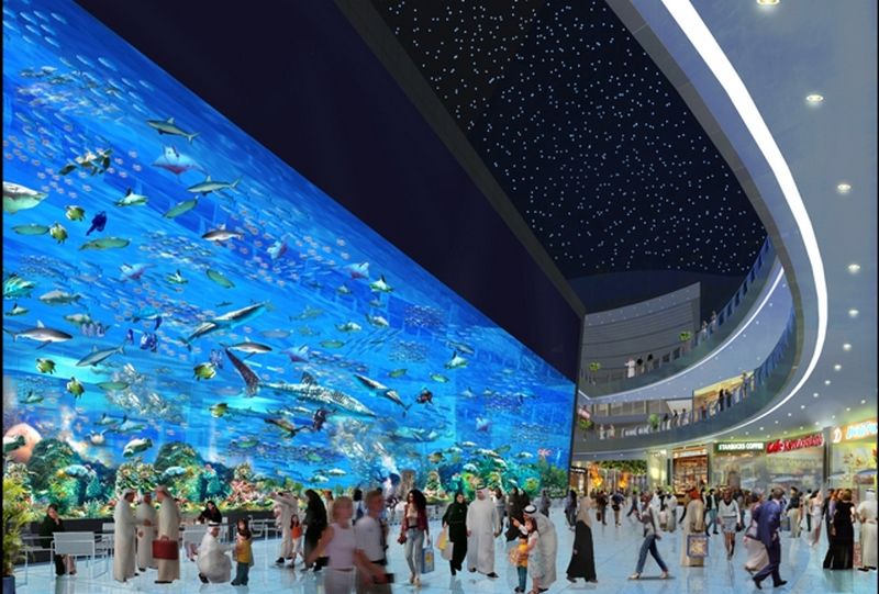Dubai Mall in Dubai, United Arab Emirates - Dubai Mall Aquarium
