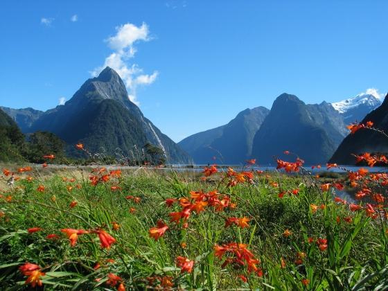 New Zealand - Panoramic views