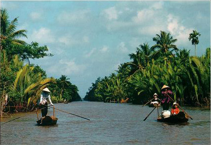Mekong Delta - Exuberant vegetation