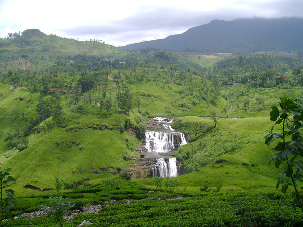 Sri Lanka - Nuvara Eliya