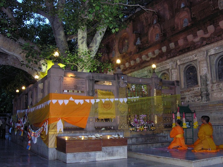 Bodhi Tree in Bodhgaya, India - Night view