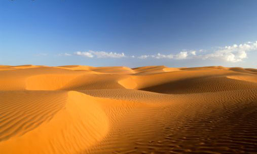 Sahara - General view