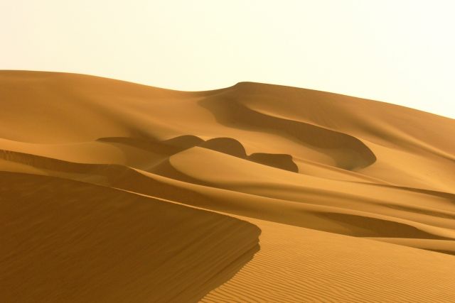 Sahara - Sahara dunes