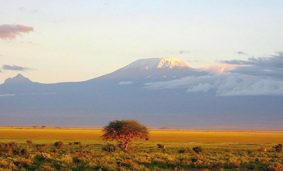 Kilimanjaro - General view