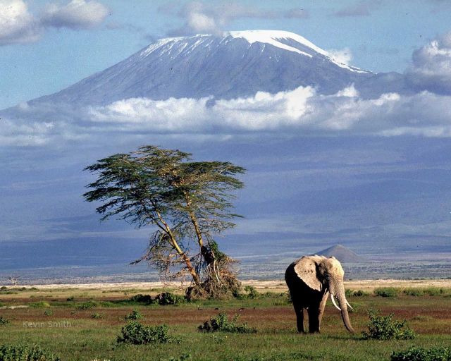 Kilimanjaro - Kilimanjaro plains