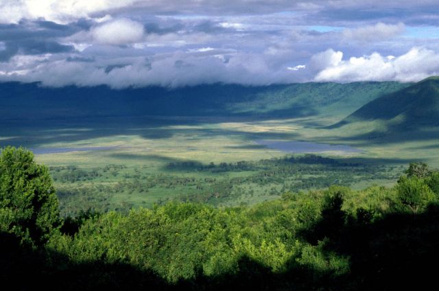 Ngorongoro Crater - Panoramic setting
