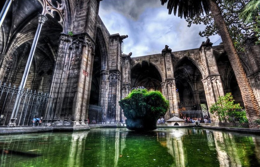 Barcelona Cathedral - Cathedral garden