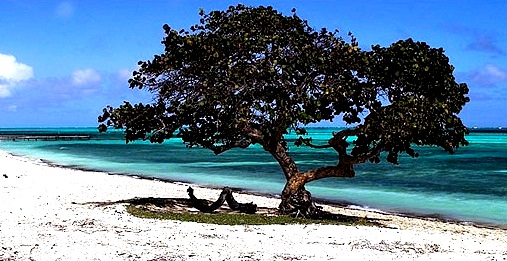 Santa Lucia Beach - Scenic landscape