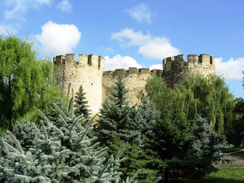 Soroca Fortress - In the middle of nature