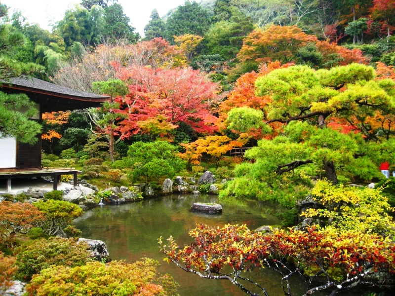 Kyoto - Kyoto panorama