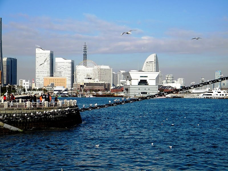 Yokohama - Yokohama city view