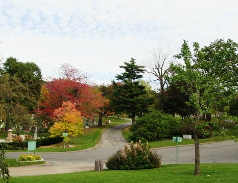 Mount Royal Park - The cemetery